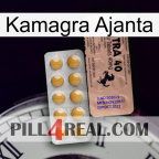 Kamagra Ajanta 41